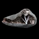 Scolecite Sprays Inside Geode Natural Mineral Specimen - image 4