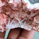 Scolecite Sprays Inside Heulandite Geode - image 6
