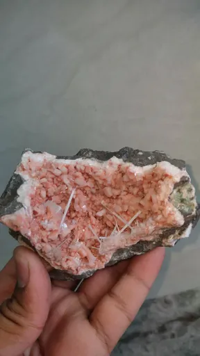 specimen video