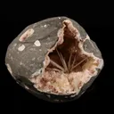 Scolecite Sprays Inside Heulandite Geode Natural Mineral Specimen - image 3
