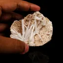Scolecite Sprays Inside Heulandite Geode Natural Mineral Specimen - image 4