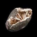 Scolecite Sprays Inside Heulandite Geode Natural Mineral Specimen - image 3