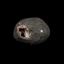 Scolecite Sprays Inside Heulandite Geode Natural Mineral Specimen - image 4