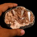 Scolecite Sprays Inside Heulandite Geode Natural Mineral Specimen - image 4