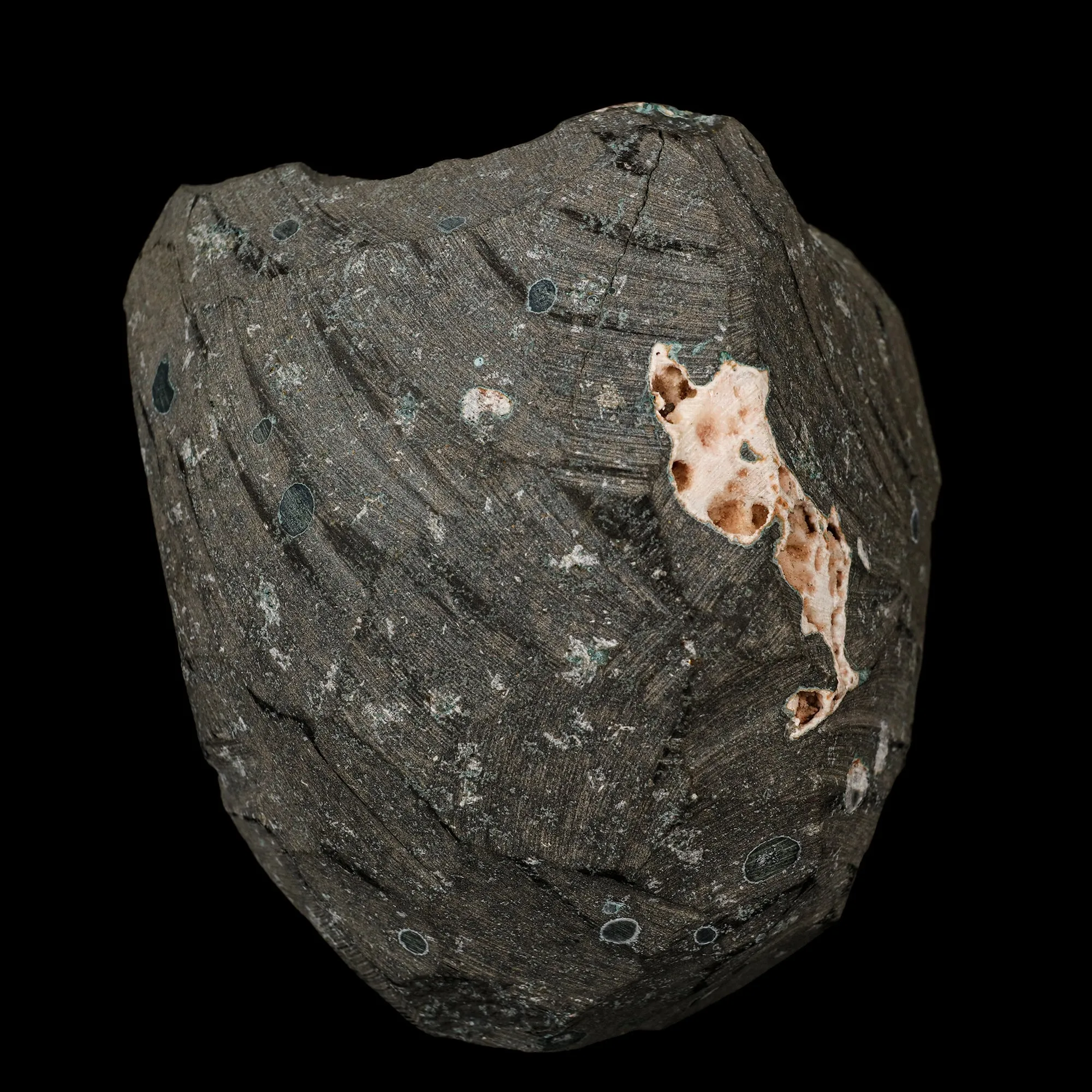 Scolecite Sprays Inside Heulandite Geode Natural Mineral Specimen - image 5