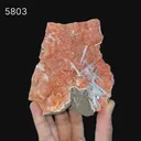 Scolecite Sprays Inside Heulandite Geode Natural Mineral Specimen - image 6