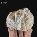 Scolecite Sprays Inside Heulandite Geode Natural Mineral Specimen - image 6
