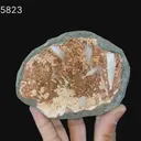 Scolecite Sprays Inside Heulandite Geode Natural Mineral Specimen - image 6