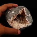 Scolecite Sprays Inside Heulandite Geode Natural Mineral Specimen - image 4
