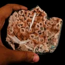 Scolecite Sprays Inside Heulandite Geode Natural Mineral Specimen - image 4