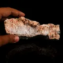 Scolecite Sprays Inside Heulandite Geode Natural Mineral Specimen - image 4