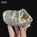 Scolecite Sprays Inside Heulandite Geode Natural Mineral Specimen - image 5