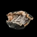 Scolecite Sprays Inside Heulandite Geode Natural Mineral Specimen - image 4