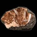 Scolecite Sprays Inside Heulandite Geode Natural Mineral Specimen - image 3