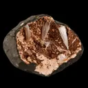 Scolecite Sprays Inside Heulandite Geode Natural Mineral Specimen - image 2