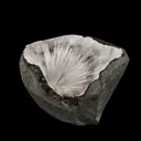Scolecite Sprays Inside MM Quartz Geode Natural Mineral Specimen - image 2