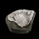 Scolecite Sprays Inside MM Quartz Geode Natural Mineral Specimen - image 1