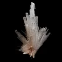 Scolecite Sprays Natural Mineral Specimen - image 2