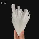 Scolecite Sprays Natural Mineral Specimen - image 6