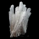 Scolecite Sprays Natural Mineral Specimen - image 5