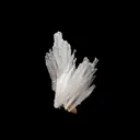 Scolecite Sprays Natural Mineral Specimen - image 3