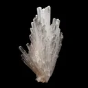 Scolecite Sprays Natural Mineral Specimen - image 2