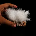 Scolecite Sprays on Heulandite Natural Mineral Specimen - image 4