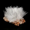 Scolecite Sprays on Heulandite Natural Mineral Specimen - image 3