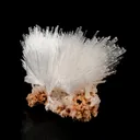 Scolecite Sprays on Heulandite Natural Mineral Specimen - image 2