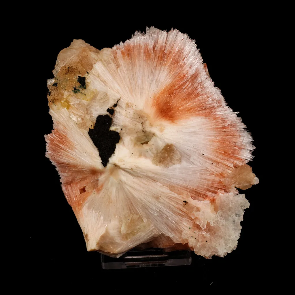 Scolecite Sprays Pink Rare found Natural Mineral Specimen - image 4