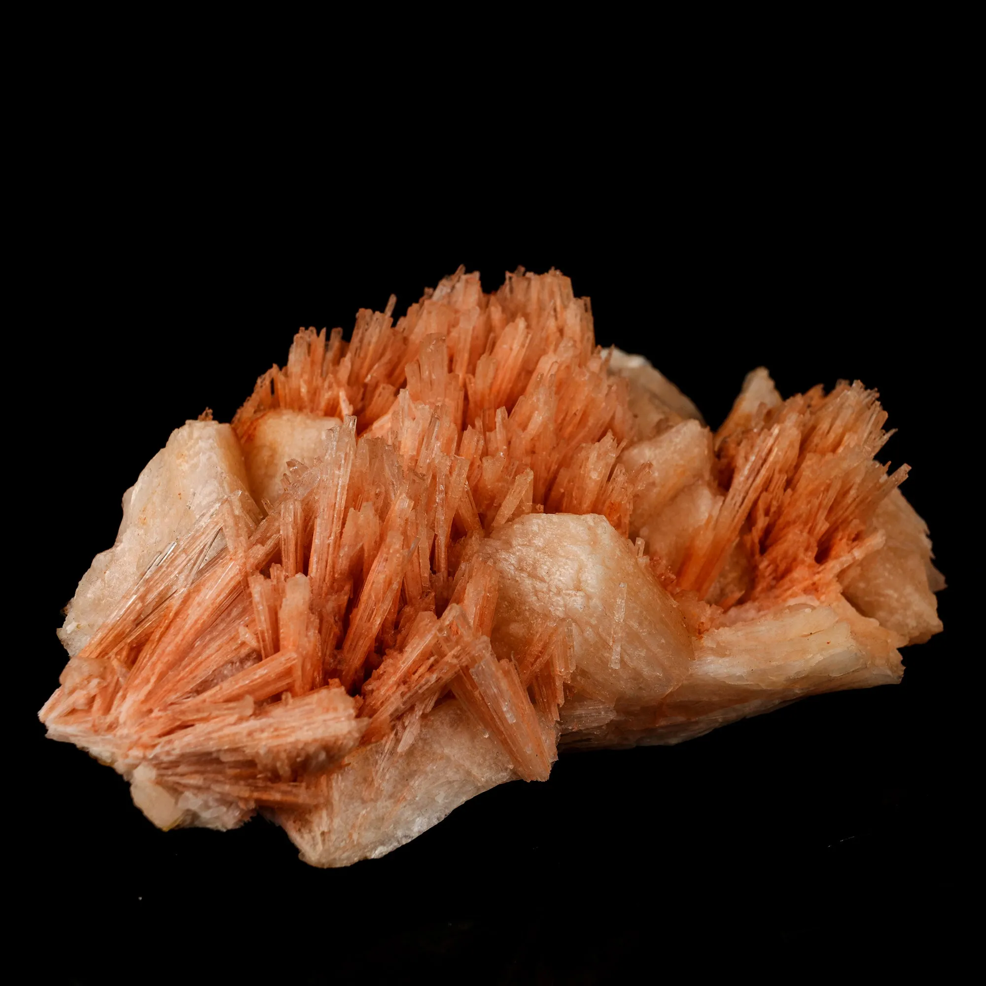 Scolecite Sprays Pink with Stilbite Rare found Natural Mineral Specimen - image 2