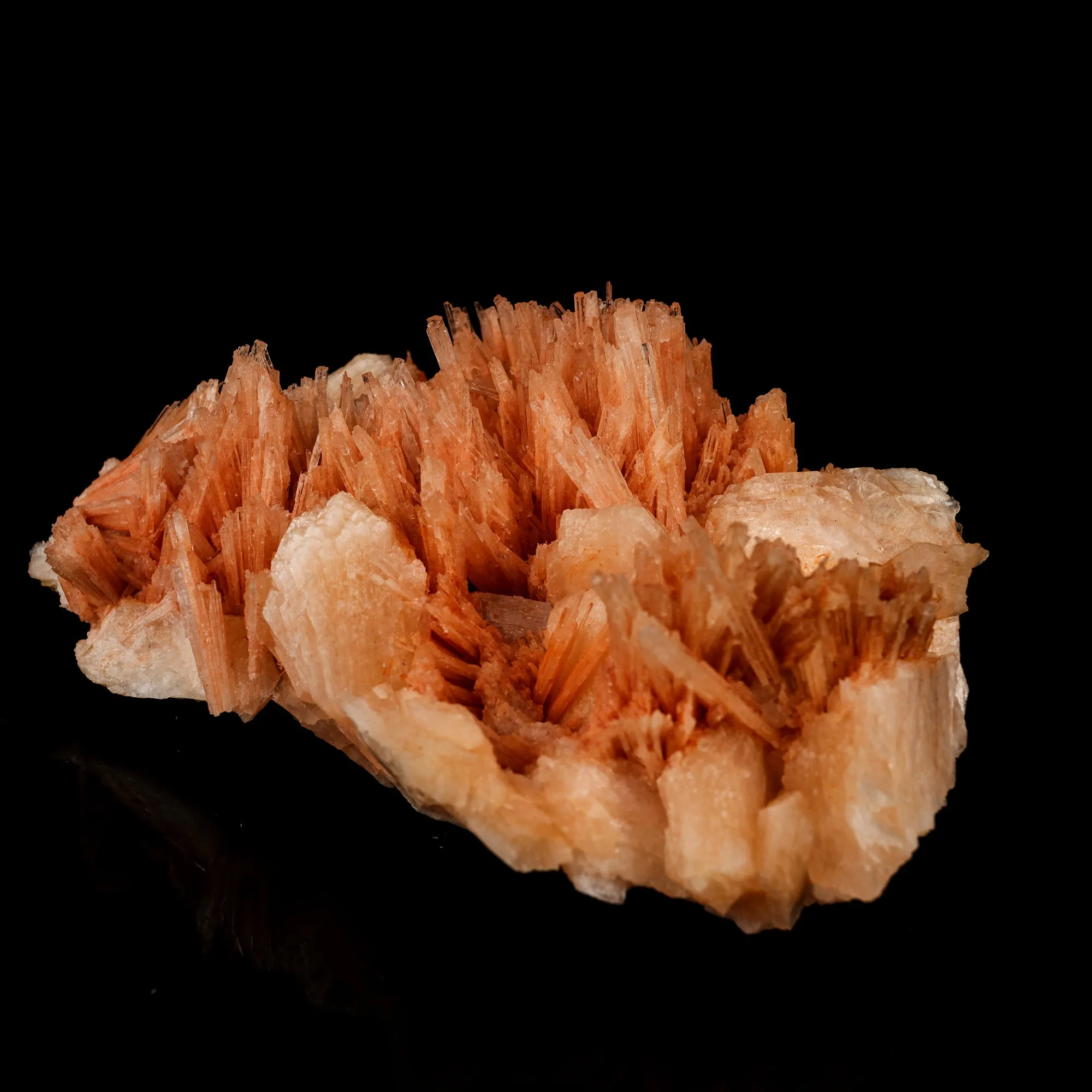 Scolecite Sprays Pink with Stilbite Rare found Natural Mineral Specimen - image 3
