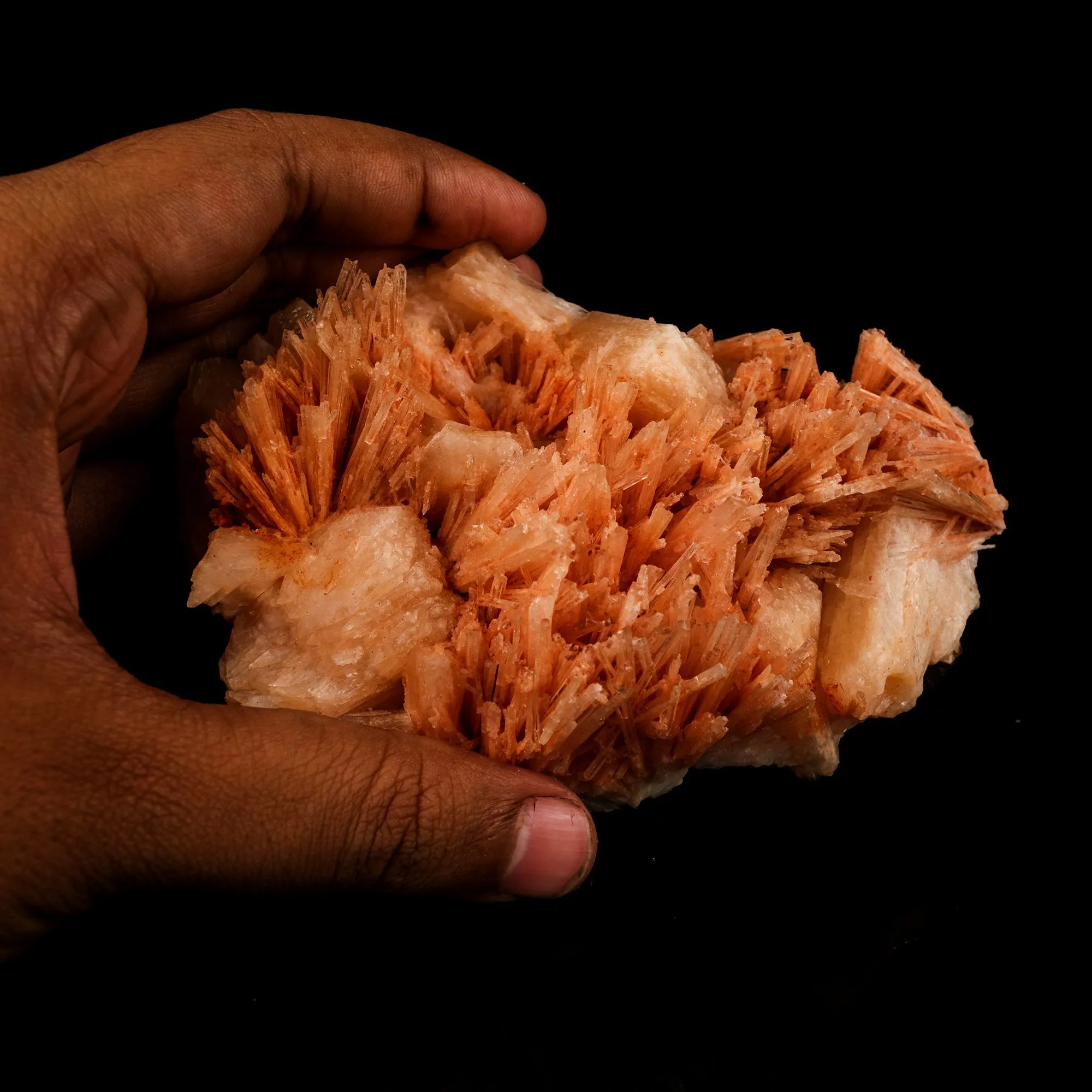 Scolecite Sprays Pink with Stilbite Rare found Natural Mineral Specimen - image 5