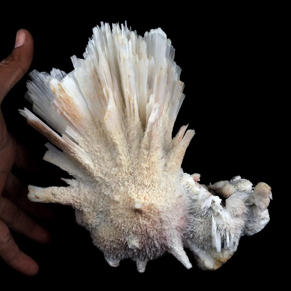 Scolecite Sprays Unusual Formation Natural Mineral Specimen - image 4