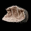 Scolecite Sprays with Apophyllite Inside Heulandite Geode Natural Mineral Specimen - image 3