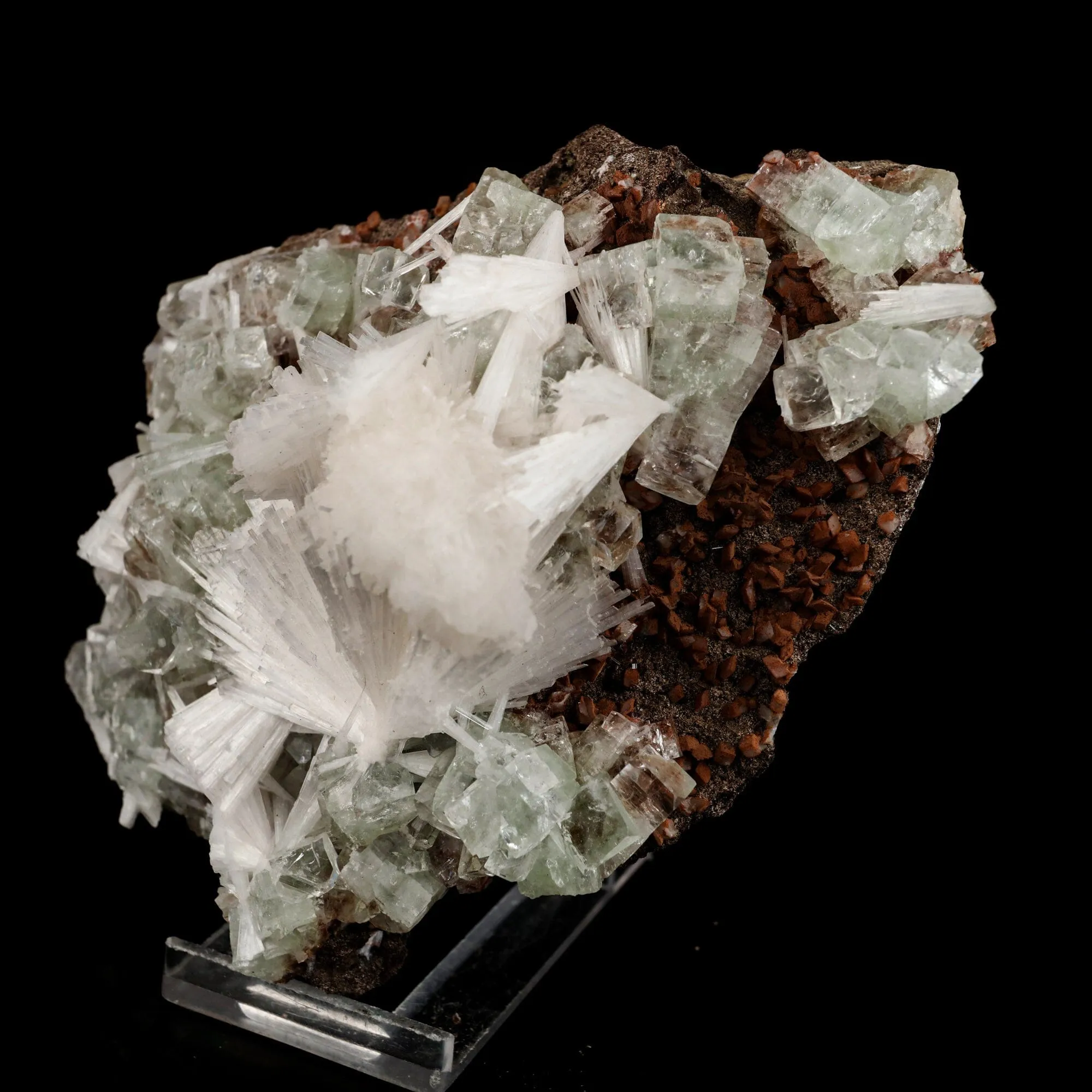Scolecite Sprays with green Apophyllite cube Natural Mineral Specimen - image 2
