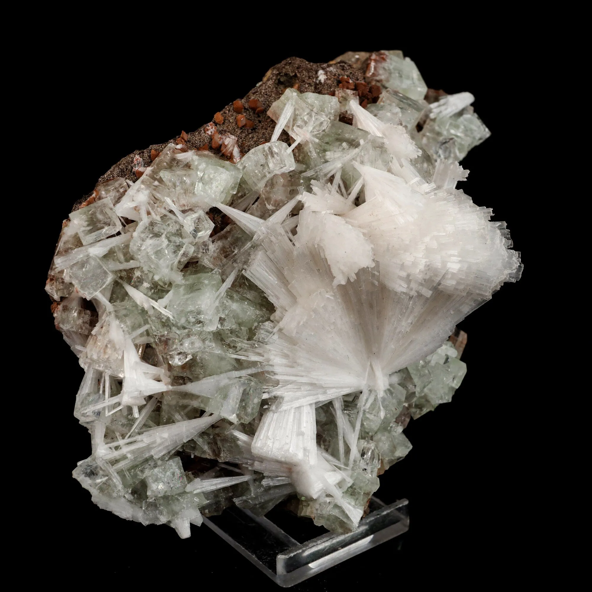 Scolecite Sprays with green Apophyllite cube Natural Mineral Specimen - image 3