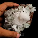 Scolecite Sprays with green Apophyllite cube Natural Mineral Specimen - image 4