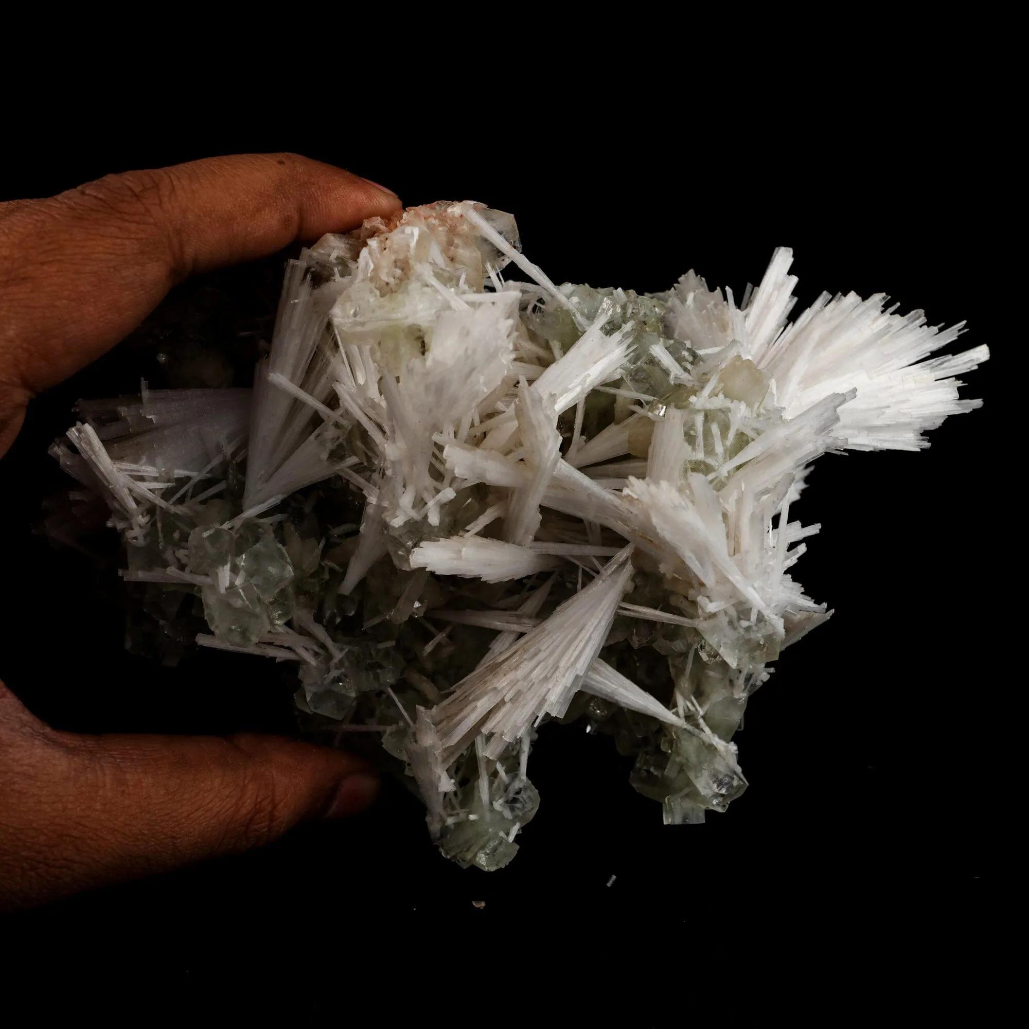 Scolecite Sprays with green Apophyllite cube Natural Mineral Specimen - image 6