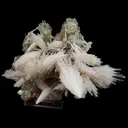 Scolecite Sprays with green Apophyllite cube Natural Mineral Specimen - image 1