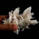 Scolecite Sprays with green Apophyllite cube Natural Mineral Specimen - image 5