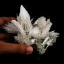 Scolecite Sprays with green Apophyllite cube Natural Mineral Specimen - image 4
