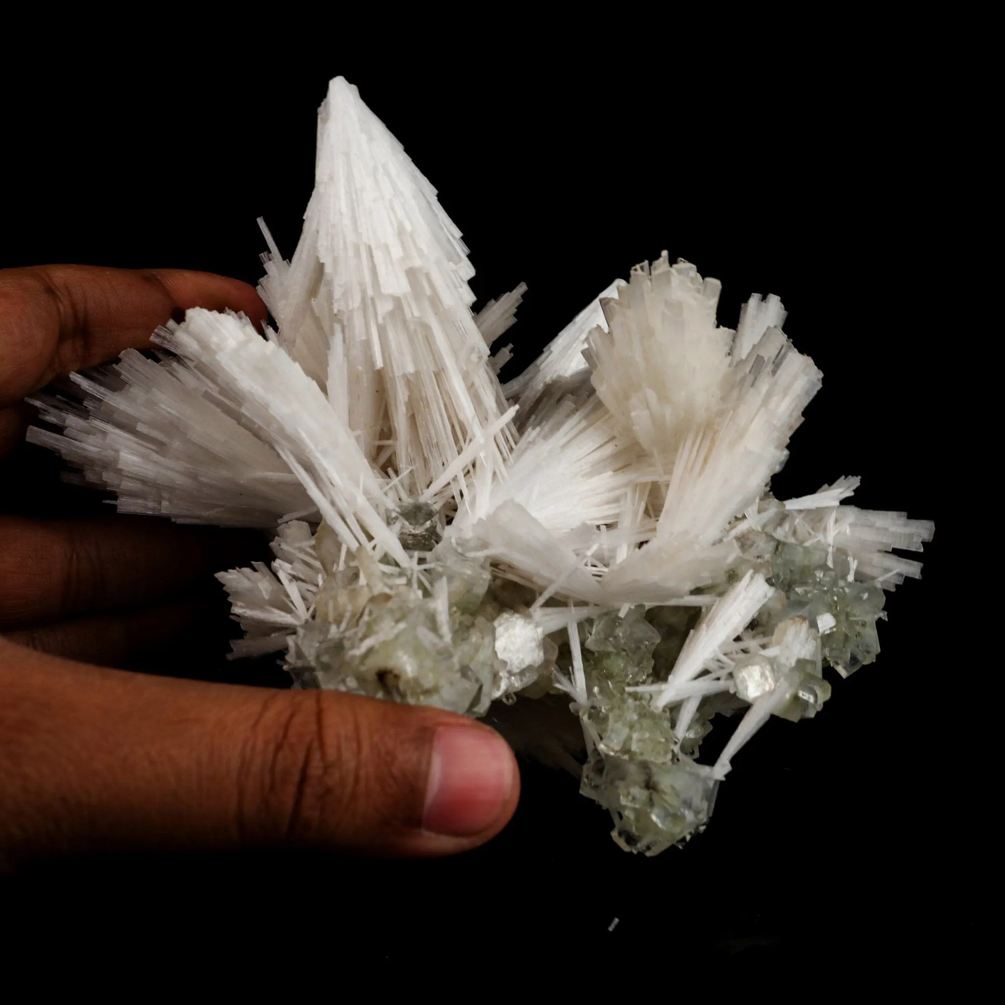 Scolecite Sprays with green Apophyllite cube Natural Mineral Specimen - image 4