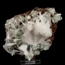 Scolecite Sprays with green Apophyllite cube Natural Mineral Specimen - image 1