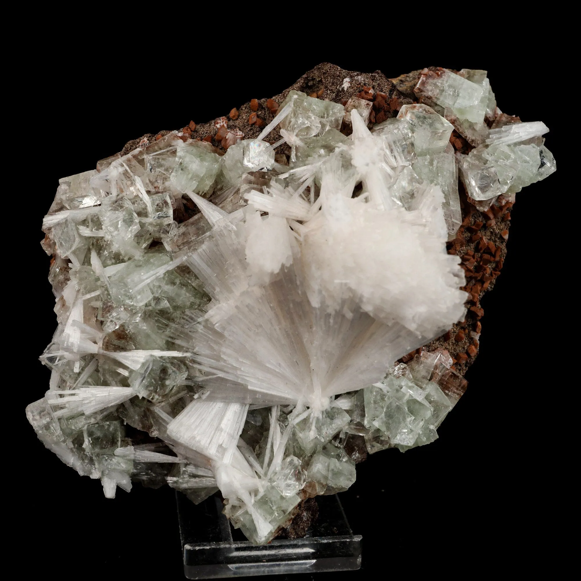 Scolecite Sprays with green Apophyllite cube Natural Mineral Specimen - image 1