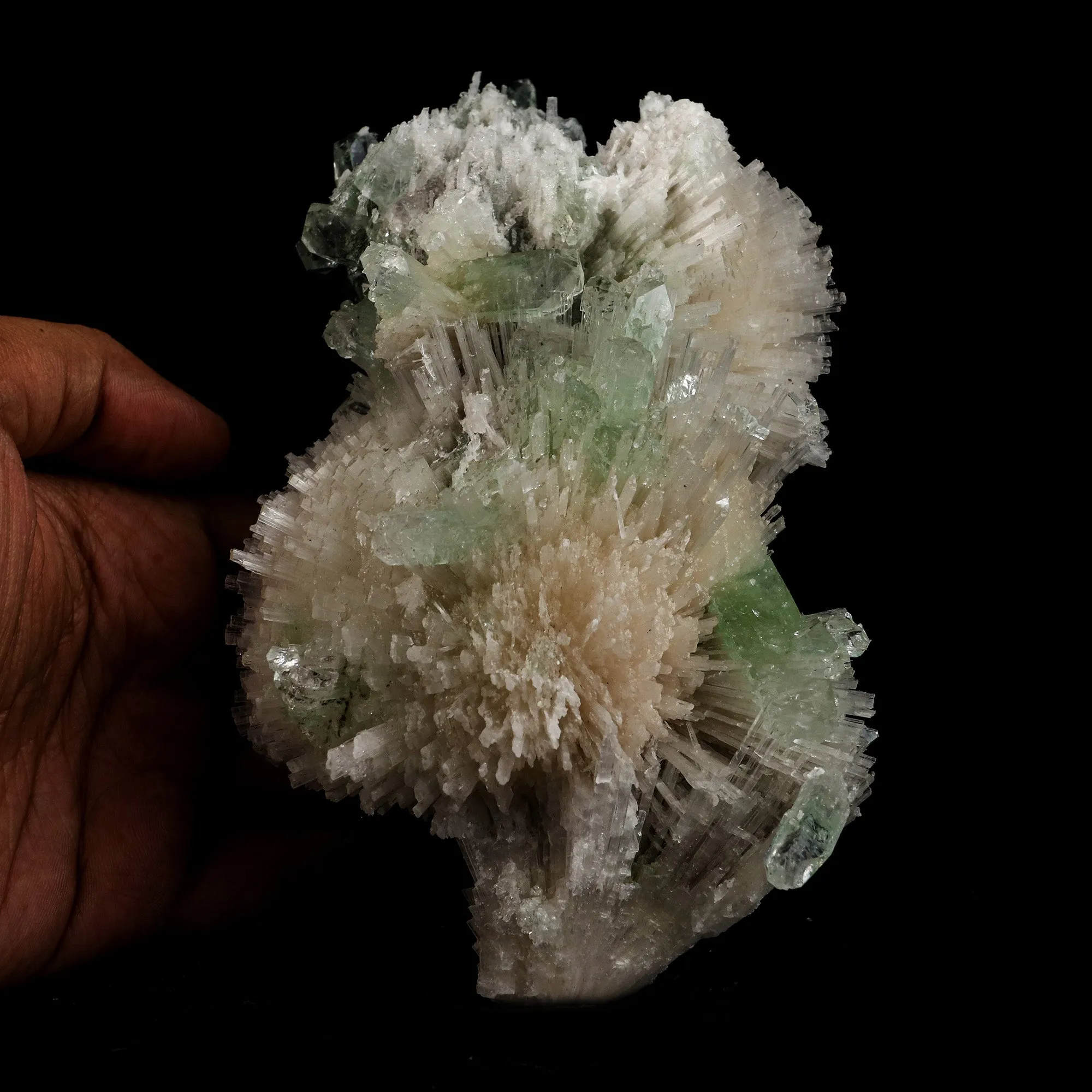 Scolecite Sprays with Green Apophyllite Natural Mineral Specimen - image 5