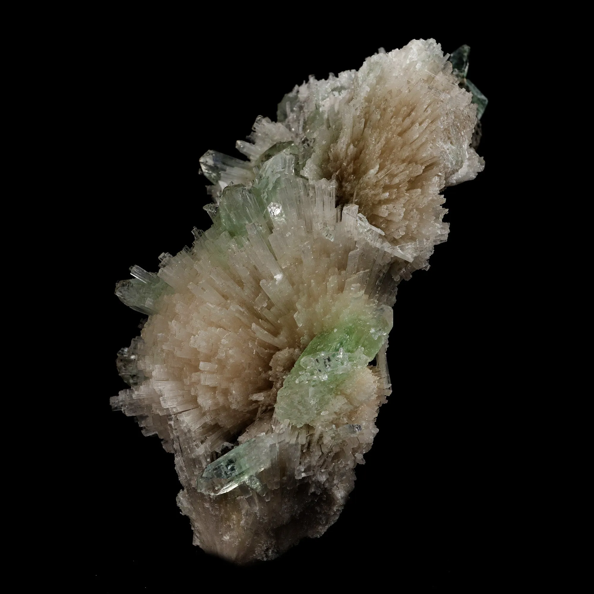 Scolecite Sprays with Green Apophyllite Natural Mineral Specimen - image 3