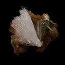 Scolecite Sprays with Green Apophyllite on Stilbite Natural Mineral Specimen - image 2