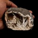 Scolecite Sprays with Stilbite Inside Heulandite Natural Mineral Specimen - image 5