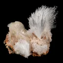 Scolecite Sprays with Stilbite Natural Mineral Specimen - image 4